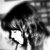 :iconMarisolara: