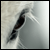 :iconmarithyme: