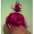 :iconmaritree: