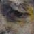 :iconmariyan1991: