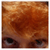 :iconmarjoriee: