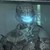 :iconmark-firehaven: