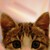 :iconmark0m: