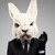 :iconmark2108: