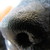 :iconmarkbpw: