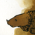 :iconmarkcarson: