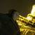 :iconmarker14: