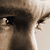 :iconmarkheathcote:
