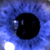 :iconmarkhit: