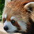 :iconmarklovinghobbit: