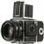 :iconMarkok765: