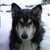 markopolo243 :iconmarkopolo243: