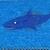 :iconmarkshark55: