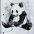 :iconmarkuslives: