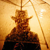 :iconmarkwatcher:
