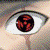 Markzilla :iconmarkzilla: