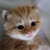 :iconmarlameredith126:
