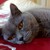 :iconmarlena-kaminska:
