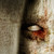 :iconmarlenep: