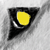 :iconmarlewen: