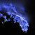 :iconmarlfox117: