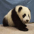 :iconmarlo-oaktree: