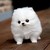 :iconmarmarbare17: