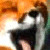 :iconmarmarmellow: