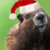 :iconmarmoti7: