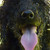 :iconmarneys: