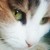 :iconmaroline:
