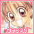 :iconmaron90: