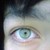 :iconmarqot: