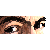 :iconmarquesio: