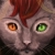 :iconmarrra: