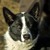 MarryAngelGuardians :iconmarryangelguardians: