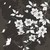 :iconmars1314: