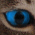 :iconmarshallbf:
