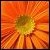:iconmarshmallow-cloud: