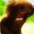 :iconmarshmallowxx: