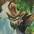 MarshyMelo :iconmarshymelo: