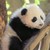 :iconmarslilyfang: