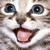 :iconmarsounette-16: