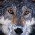 :iconmartenkeeper: