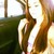 :iconmarthardzmtz: