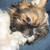 :iconmarthathebarbarian: