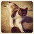 :iconmarthavickers: