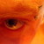 :iconmarticus1987: