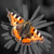 :iconmartin-munk: