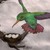 :iconmartin-watson12: